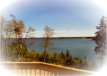 Der Ausblick vom Haus